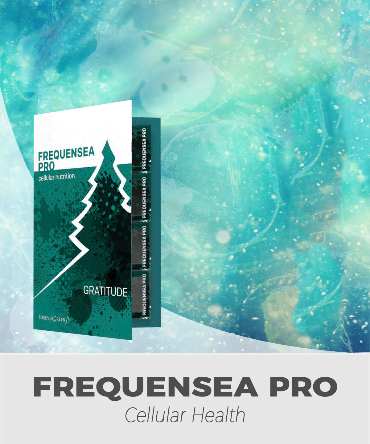 FGXpress FREQUENSEA-PRO
